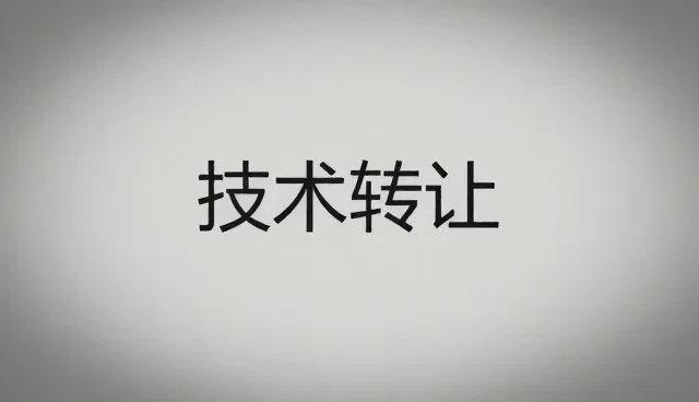 运维服务如何支撑技术转让的稳定性，保障项目落地